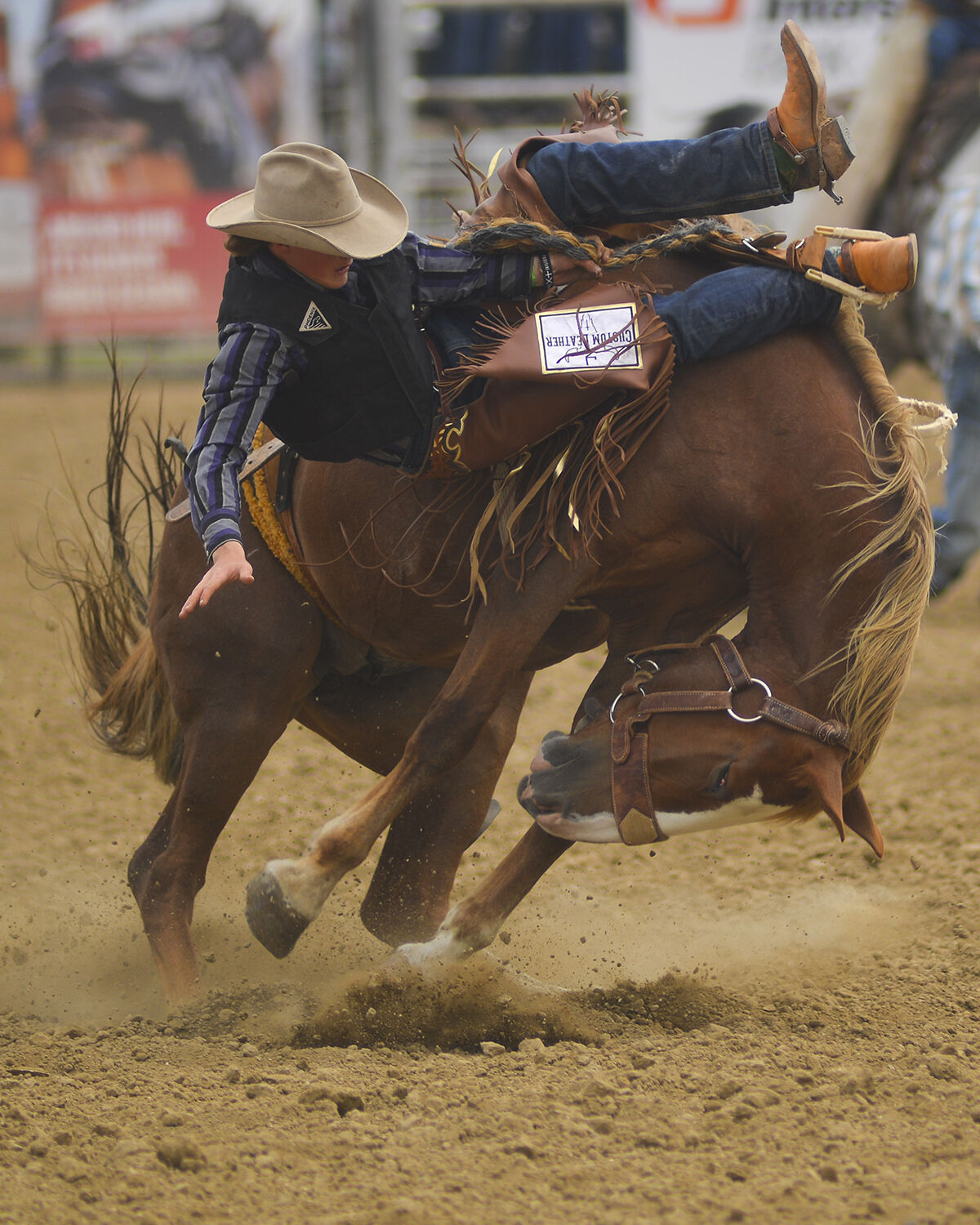 Norris Graves looks down as he begins falling while his horse curls